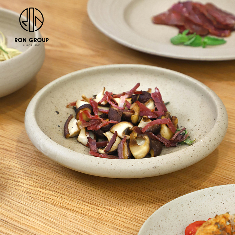 Japanese Style Speckled Ceramic Round Dinner Plate for Fine Dining and Hotels